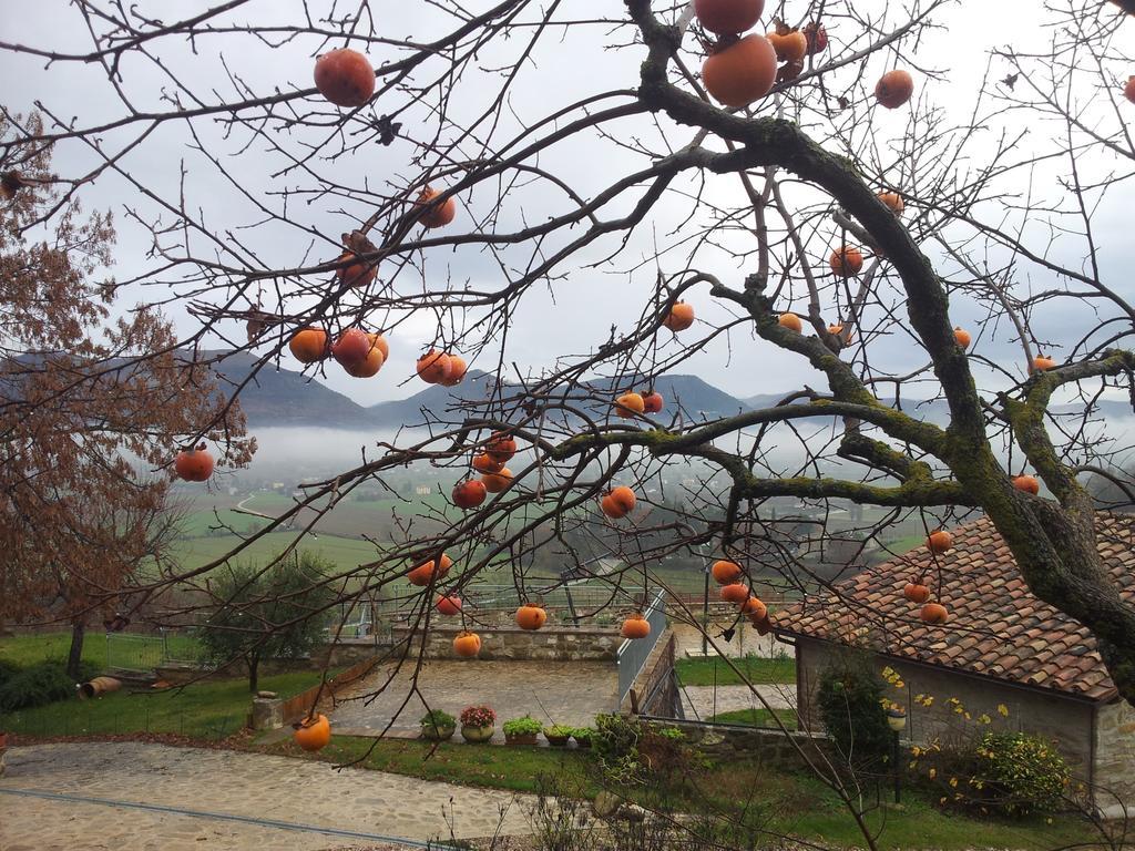 구비오 Fonte Chiara 빌라 외부 사진